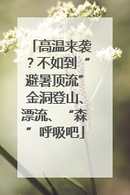 高温来袭？不如到“避暑顶流”金洞登山、漂流、“森”呼吸吧