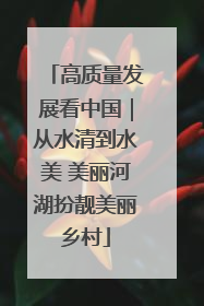 高质量发展看中国｜从水清到水美 美丽河湖扮靓美丽乡村