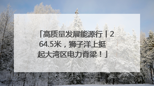 高质量发展能源行丨264.5米，狮子洋上挺起大湾区电力脊梁！