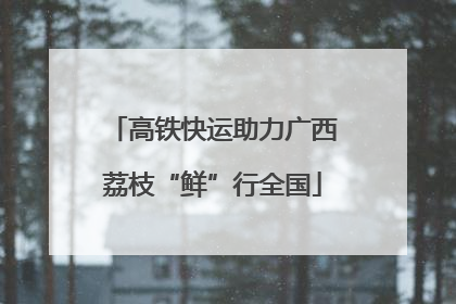 高铁快运助力广西荔枝“鲜”行全国