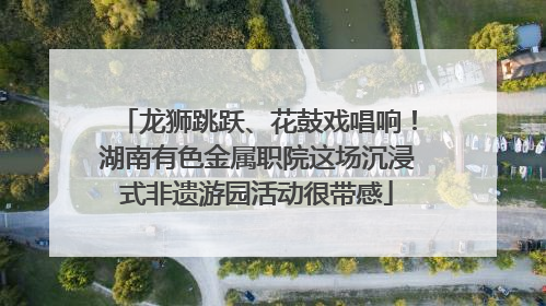 龙狮跳跃、花鼓戏唱响！湖南有色金属职院这场沉浸式非遗游园活动很带感