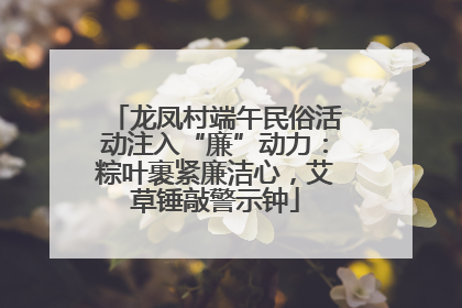 龙凤村端午民俗活动注入“廉”动力：粽叶裹紧廉洁心，艾草锤敲警示钟