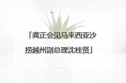 龚正会见马来西亚沙捞越州副总理沈桂贤