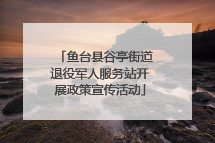鱼台县谷亭街道退役军人服务站开展政策宣传活动