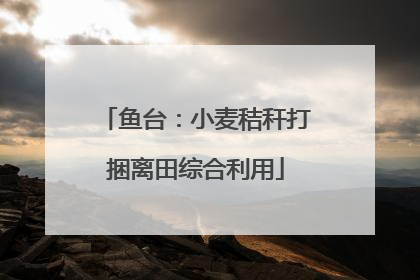 鱼台：小麦秸秆打捆离田综合利用