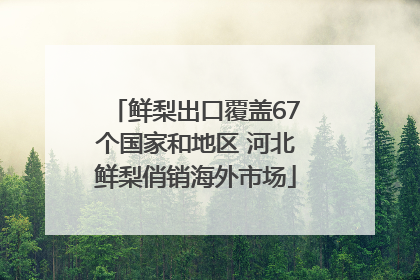 鲜梨出口覆盖67个国家和地区 河北鲜梨俏销海外市场