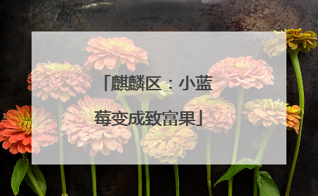 麒麟区：小蓝莓变成致富果