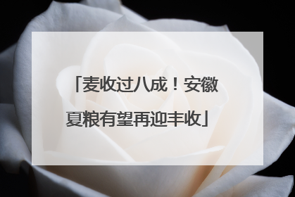 麦收过八成！安徽夏粮有望再迎丰收