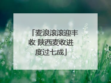 麦浪滚滚迎丰收 陕西麦收进度过七成