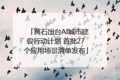 黄石出台AI城市建设行动计划 首批27个应用场景清单发布