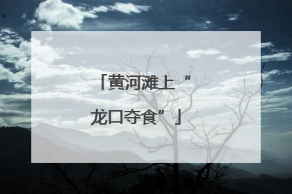 黄河滩上“龙口夺食”
