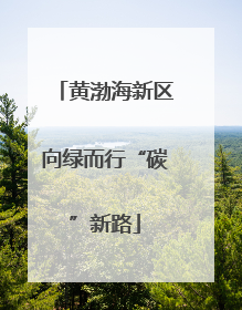 黄渤海新区向绿而行“碳”新路