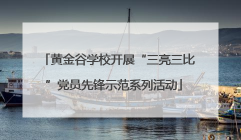 黄金谷学校开展“三亮三比”党员先锋示范系列活动