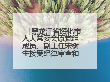 黑龙江省绥化市人大常委会原党组成员、副主任宋树生接受纪律审查和监察调查