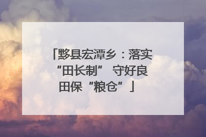 黟县宏潭乡：落实“田长制” 守好良田保“粮仓”