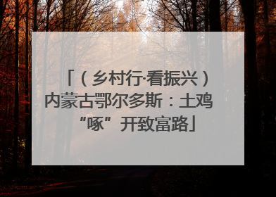 （乡村行·看振兴）内蒙古鄂尔多斯：土鸡“啄”开致富路