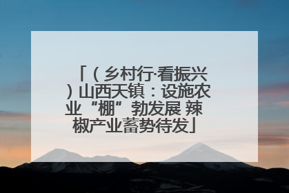 （乡村行·看振兴）山西天镇：设施农业“棚”勃发展 辣椒产业蓄势待发