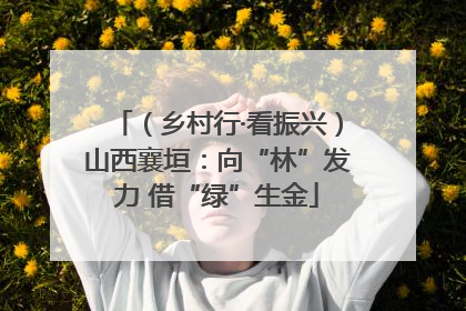 （乡村行·看振兴）山西襄垣：向“林”发力 借“绿”生金