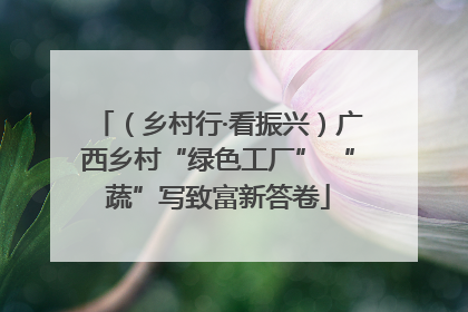 （乡村行·看振兴）广西乡村“绿色工厂” “蔬”写致富新答卷