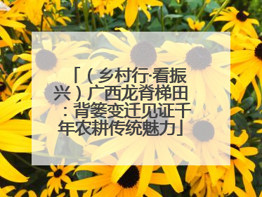 （乡村行·看振兴）广西龙脊梯田：背篓变迁见证千年农耕传统魅力