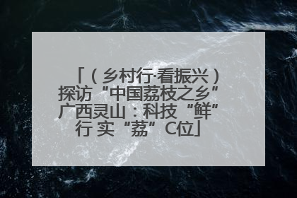 （乡村行·看振兴）探访“中国荔枝之乡”广西灵山：科技“鲜”行 实“荔”C位