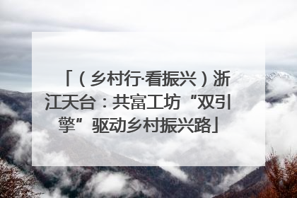 （乡村行·看振兴）浙江天台：共富工坊“双引擎”驱动乡村振兴路