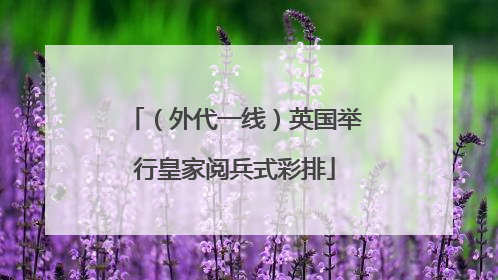 （外代一线）英国举行皇家阅兵式彩排