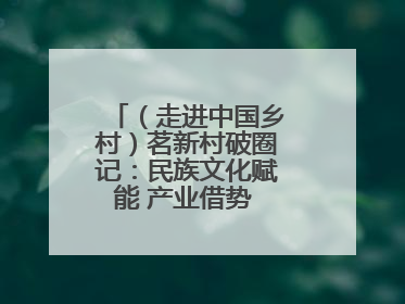 （走进中国乡村）茗新村破圈记：民族文化赋能 产业借势 “网红东风”
