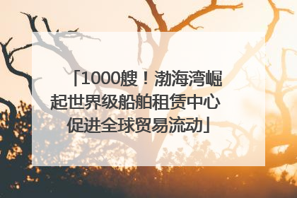 1000艘！渤海湾崛起世界级船舶租赁中心 促进全球贸易流动