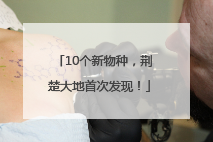 10个新物种，荆楚大地首次发现！