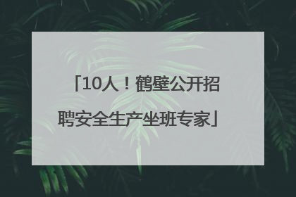 10人！鹤壁公开招聘安全生产坐班专家