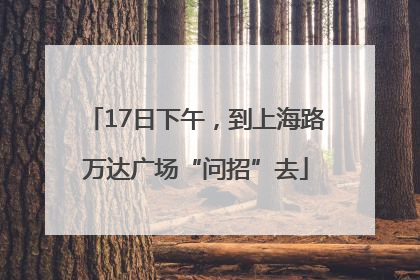 17日下午，到上海路万达广场“问招”去