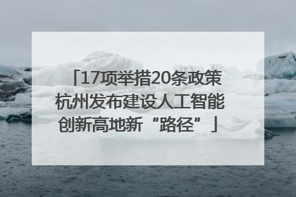 17项举措20条政策 杭州发布建设人工智能创新高地新“路径”