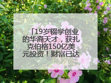 19岁辍学创业的华裔天才，获扎克伯格150亿美元投资！财富已达20亿美元！