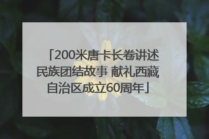 200米唐卡长卷讲述民族团结故事 献礼西藏自治区成立60周年
