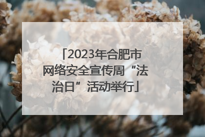 2023年合肥市网络安全宣传周“法治日”活动举行