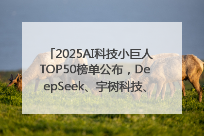 2025AI科技小巨人TOP50榜单公布，DeepSeek、宇树科技、蘑菇车联等企业荣誉上榜