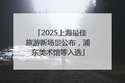 2025上海最佳旅游新场景公布，浦东美术馆等入选