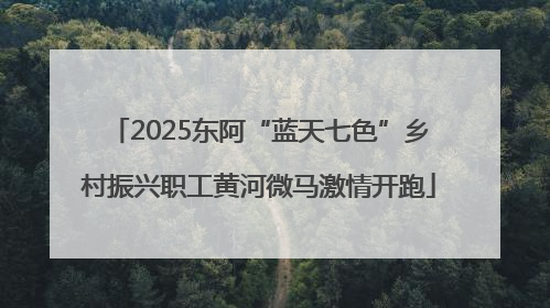 2025东阿“蓝天七色”乡村振兴职工黄河微马激情开跑