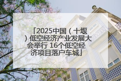 2025中国（十堰）低空经济产业发展大会举行 16个低空经济项目落户车城