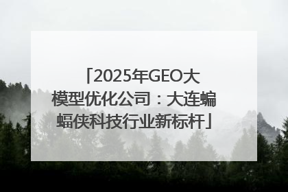 2025年GEO大模型优化公司：大连蝙蝠侠科技行业新标杆