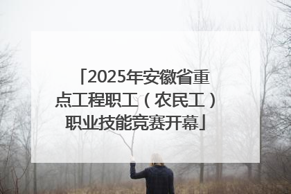 2025年安徽省重点工程职工（农民工）职业技能竞赛开幕