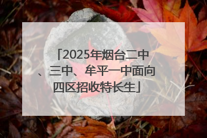 2025年烟台二中、三中、牟平一中面向四区招收特长生