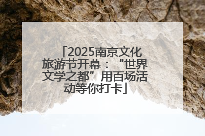 2025南京文化旅游节开幕：“世界文学之都”用百场活动等你打卡