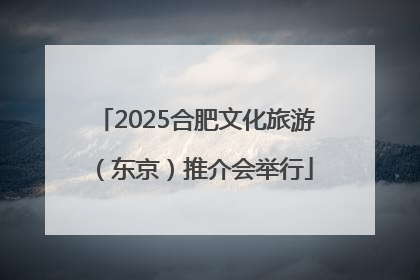 2025合肥文化旅游（东京）推介会举行