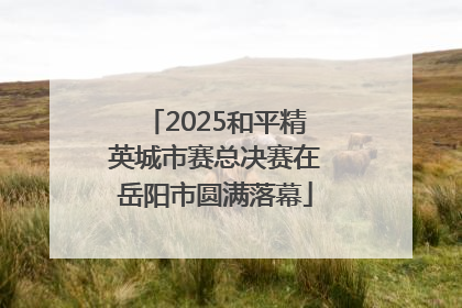 2025和平精英城市赛总决赛在岳阳市圆满落幕