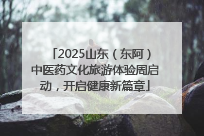 2025山东（东阿）中医药文化旅游体验周启动，开启健康新篇章
