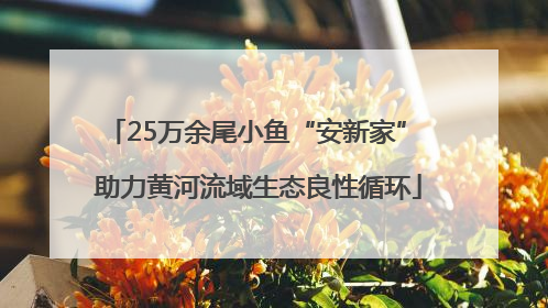 25万余尾小鱼“安新家” 助力黄河流域生态良性循环