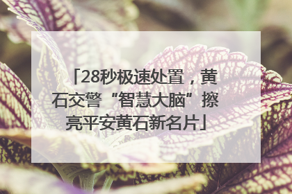 28秒极速处置，黄石交警“智慧大脑”擦亮平安黄石新名片