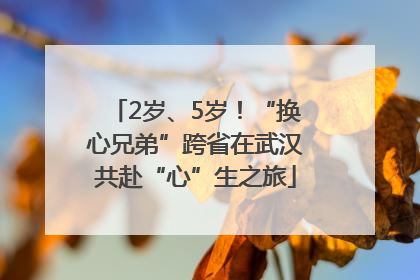 2岁、5岁！“换心兄弟”跨省在武汉共赴“心”生之旅